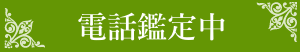 電話鑑定中